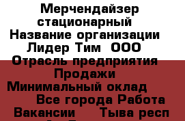 Мерчендайзер стационарный › Название организации ­ Лидер Тим, ООО › Отрасль предприятия ­ Продажи › Минимальный оклад ­ 23 000 - Все города Работа » Вакансии   . Тыва респ.,Ак-Довурак г.